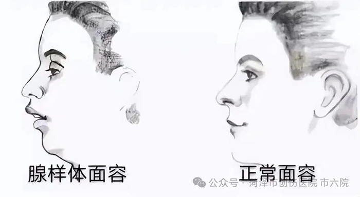 微信图片_20250627153957.jpg