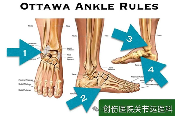 微信图片_20250627153157.jpg