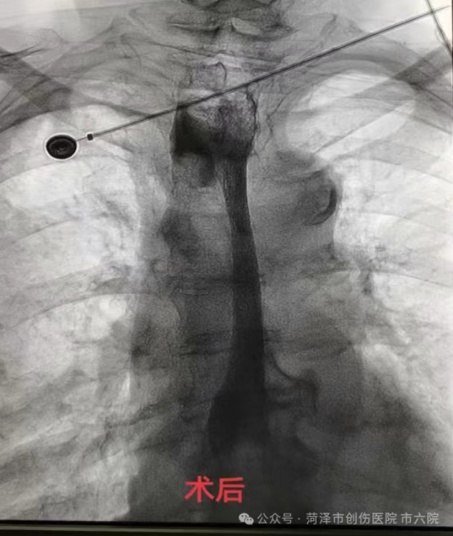ScreenShot_2025-10-29_150447_417.png